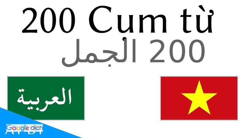 Dịch tiếng Ả Rập sang tiếng Việt - Cách dịch trên máy tính Dịch tiếng Ả Rập sang tiếng Việt - Cách dịch trên máy tính