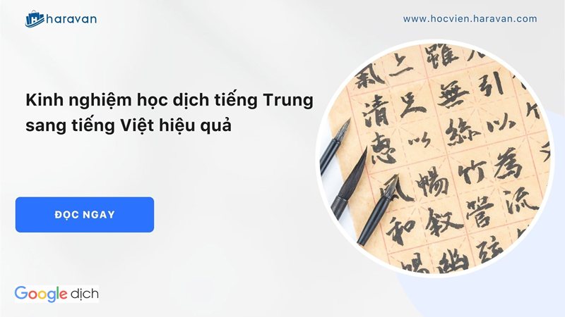 Dịch tiếng Trung sang tiếng Việt - Chọn đúng tiếng Trung giản thể hoặc phồn thể