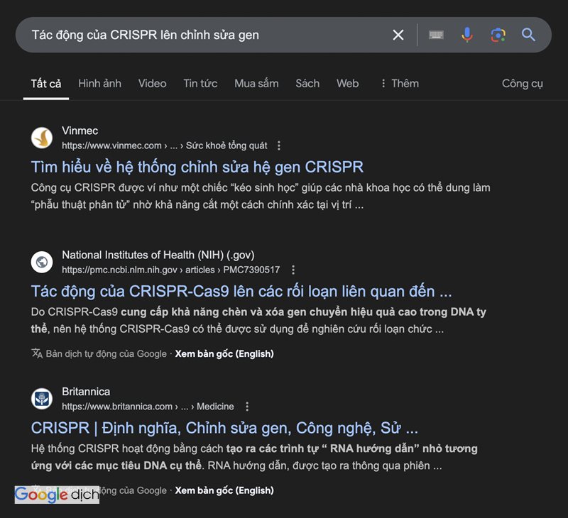 Google Dịch có chính xác không - Không có một tỷ lệ chính xác áp dụng cho mọi bản dịch