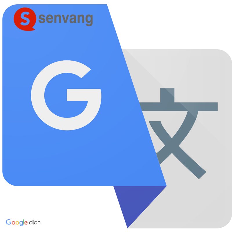 Google Dịch là gì - Hiểu đơn giản về Google Translate